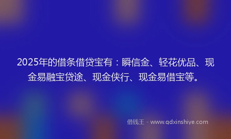 2025年的借条借贷宝有：瞬信金、轻花优品、现金易融宝贷途、现金侠行、现金易借宝等。