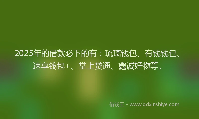 2025年的借款必下的有：琉璃钱包、有钱钱包、速享钱包+、掌上贷通、鑫诚好物等。