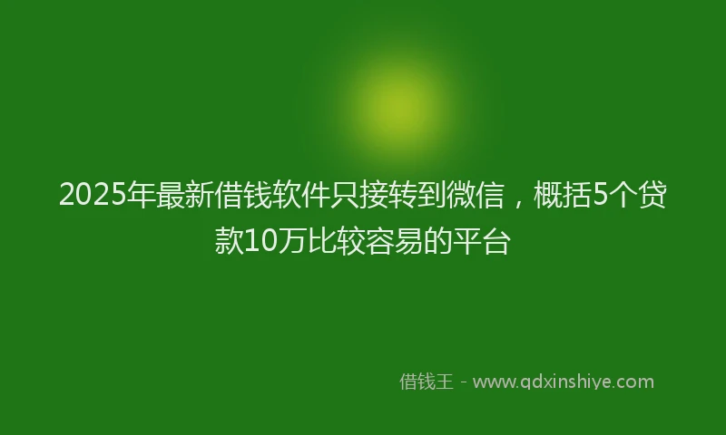 2025年最新借钱软件只接转到微信，概括5个贷款10万比较容易的平台