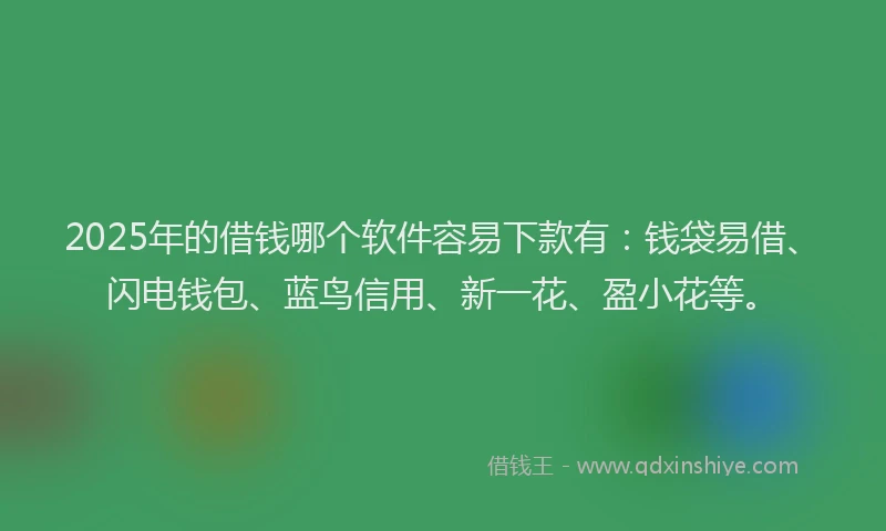 2025年的借钱哪个软件容易下款有：钱袋易借、闪电钱包、蓝鸟信用、新一花、盈小花等。