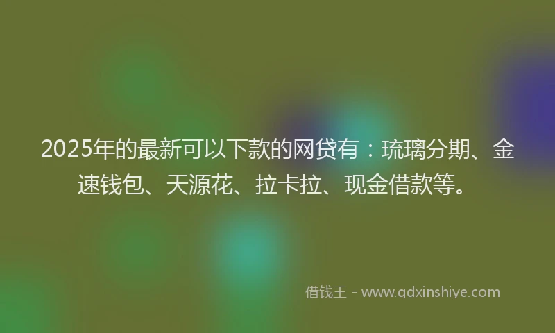 2025年的最新可以下款的网贷有：琉璃分期、金速钱包、天源花、拉卡拉、现金借款等。