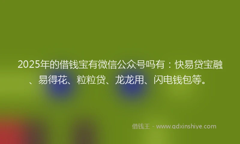 2025年的借钱宝有微信公众号吗有：快易贷宝融、易得花、粒粒贷、龙龙用、闪电钱包等。