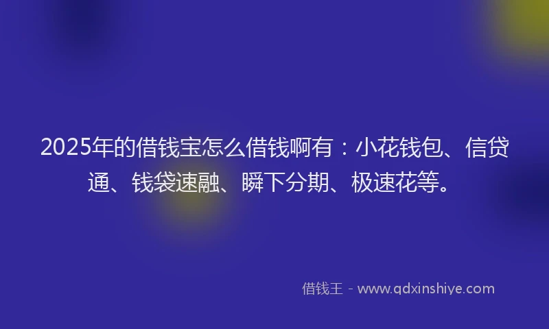 2025年的借钱宝怎么借钱啊有：小花钱包、信贷通、钱袋速融、瞬下分期、极速花等。