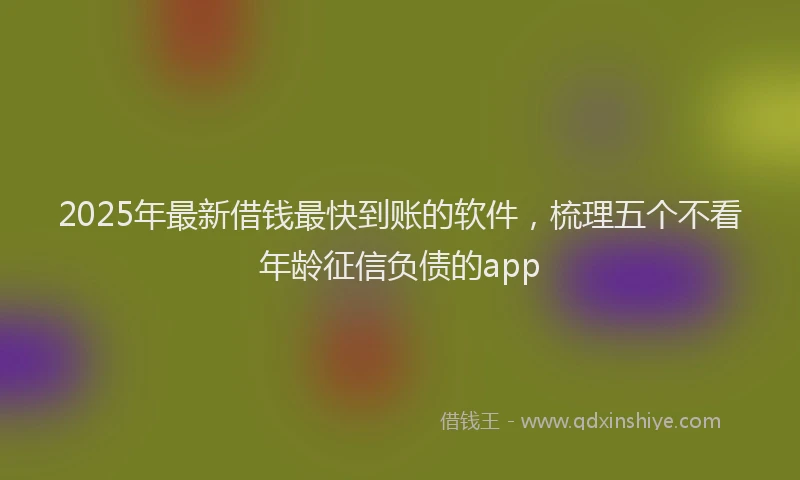 2025年最新借钱最快到账的软件，梳理五个不看年龄征信负债的app