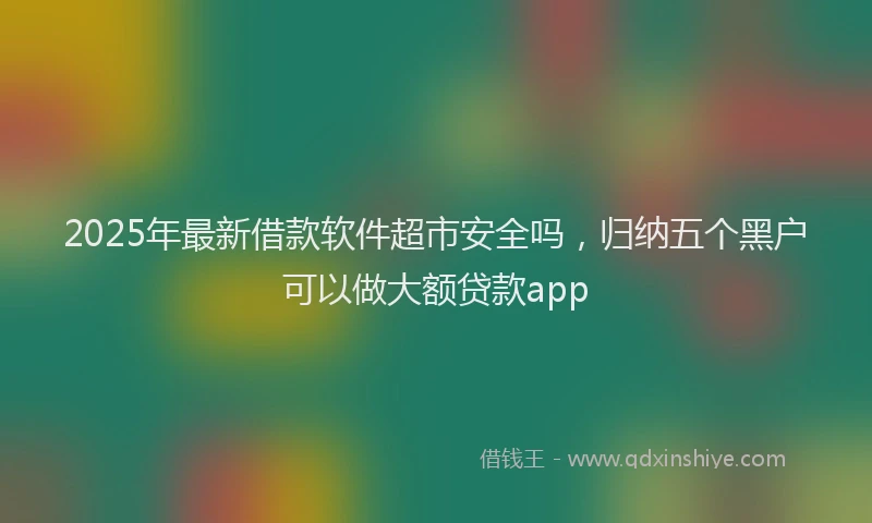 2025年最新借款软件超市安全吗，归纳五个黑户可以做大额贷款app