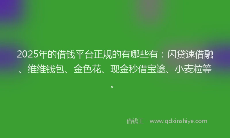 2025年的借钱平台正规的有哪些有：闪贷速借融、维维钱包、金色花、现金秒借宝途、小麦粒等。