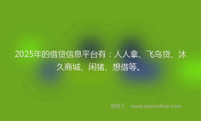 2025年的借贷信息平台有：人人拿、飞鸟贷、沐久商城、闲猪、想借等。