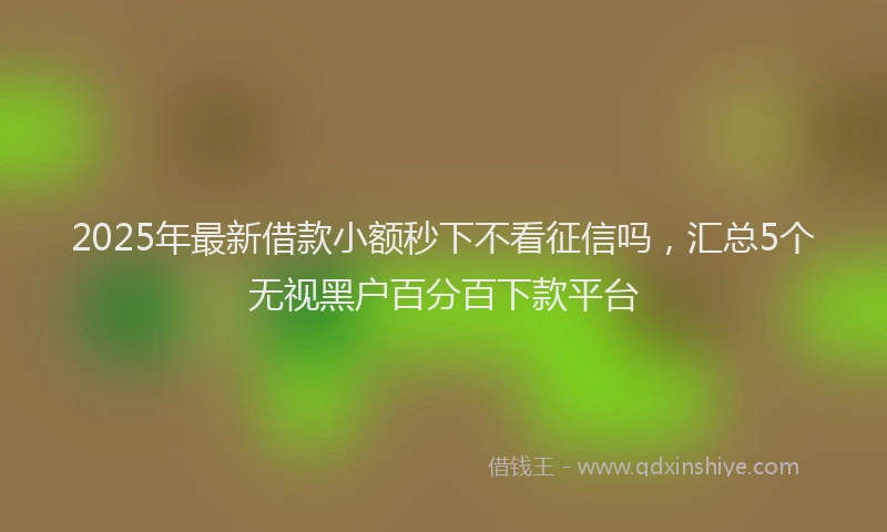 2025年最新借款小额秒下不看征信吗，汇总5个无视黑户百分百下款平台