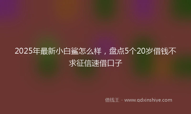 2025年最新小白鲨怎么样，盘点5个20岁借钱不求征信速借口子