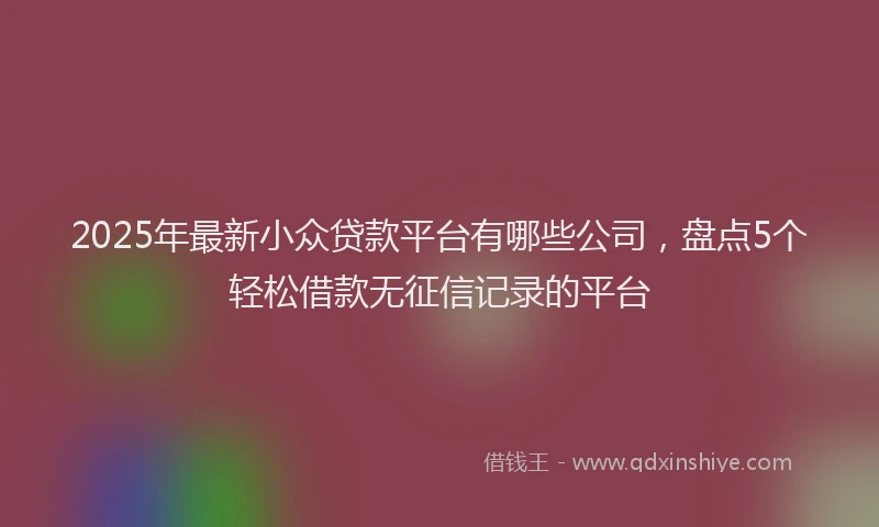 2025年最新小众贷款平台有哪些公司，盘点5个轻松借款无征信记录的平台