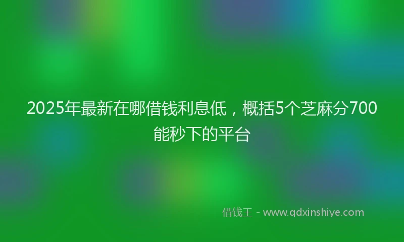 2025年最新在哪借钱利息低，概括5个芝麻分700能秒下的平台