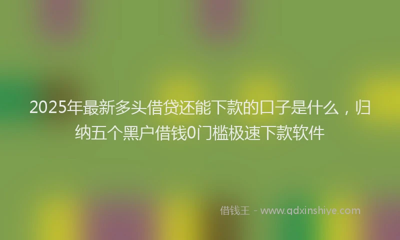 2025年最新多头借贷还能下款的口子是什么，归纳五个黑户借钱0门槛极速下款软件