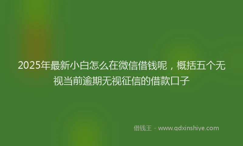 2025年最新小白怎么在微信借钱呢，概括五个无视当前逾期无视征信的借款口子