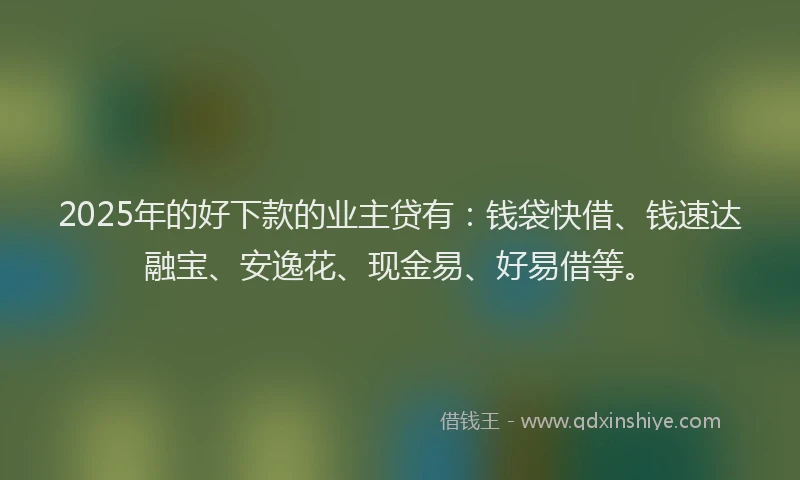 2025年的好下款的业主贷有：钱袋快借、钱速达融宝、安逸花、现金易、好易借等。