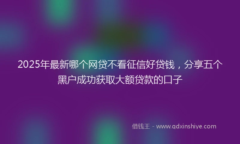 2025年最新哪个网贷不看征信好贷钱，分享五个黑户成功获取大额贷款的口子