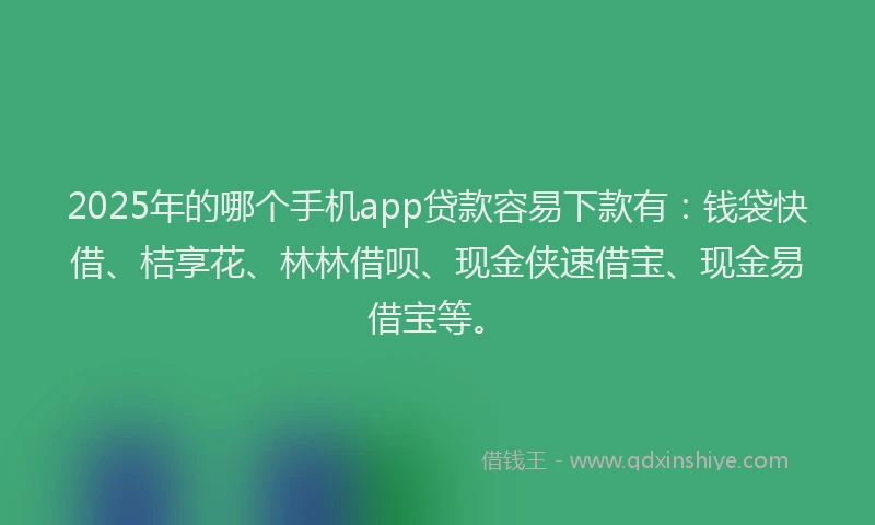 2025年的哪个手机app贷款容易下款有：钱袋快借、桔享花、林林借呗、现金侠速借宝、现金易借宝等。