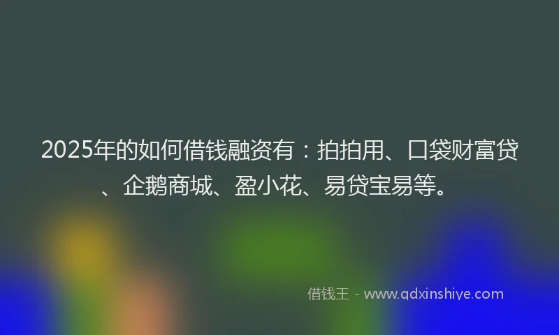 2025年的如何借钱融资有：拍拍用、口袋财富贷、企鹅商城、盈小花、易贷宝易等。