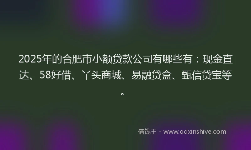 2025年的合肥市小额贷款公司有哪些有：现金直达、58好借、丫头商城、易融贷盒、甄信贷宝等。