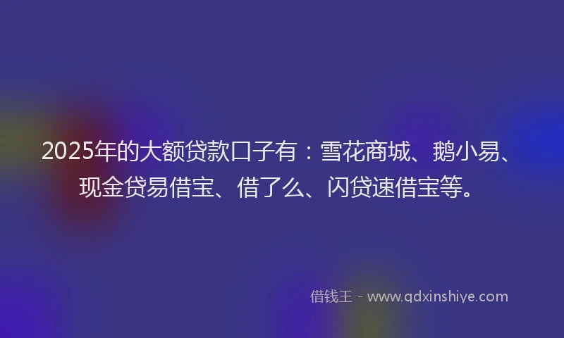 2025年的大额贷款口子有：雪花商城、鹅小易、现金贷易借宝、借了么、闪贷速借宝等。