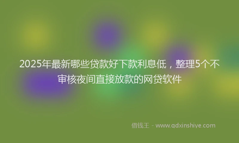 2025年最新哪些贷款好下款利息低，整理5个不审核夜间直接放款的网贷软件