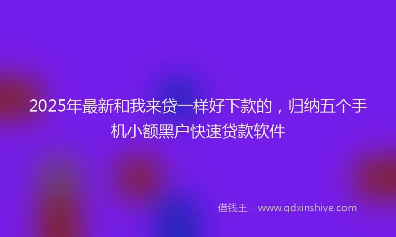 2025年最新和我来贷一样好下款的，归纳五个手机小额黑户快速贷款软件