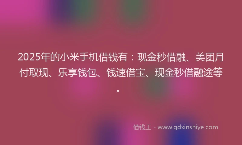 2025年的小米手机借钱有：现金秒借融、美团月付取现、乐享钱包、钱速借宝、现金秒借融途等。
