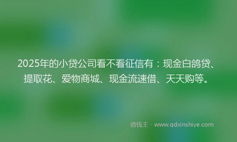 2025年的小贷公司看不看征信有：现金白鸽贷、提取花、爱物商城、现金流速借、天天购等。