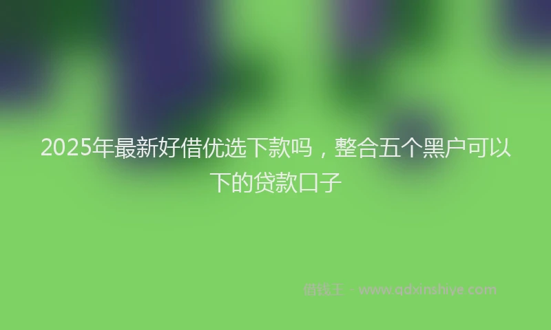 2025年最新好借优选下款吗，整合五个黑户可以下的贷款口子