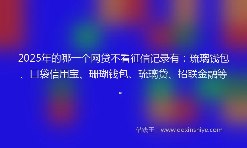2025年的哪一个网贷不看征信记录有：琉璃钱包、口袋信用宝、珊瑚钱包、琉璃贷、招联金融等。