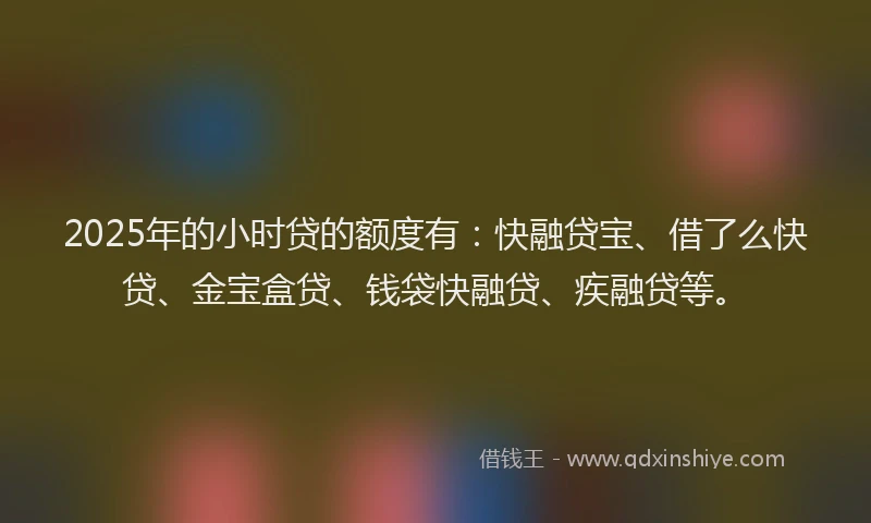 2025年的小时贷的额度有：快融贷宝、借了么快贷、金宝盒贷、钱袋快融贷、疾融贷等。