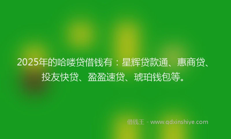 2025年的哈喽贷借钱有：星辉贷款通、惠商贷、投友快贷、盈盈速贷、琥珀钱包等。