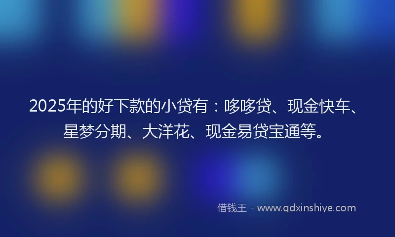 2025年的好下款的小贷有：哆哆贷、现金快车、星梦分期、大洋花、现金易贷宝通等。