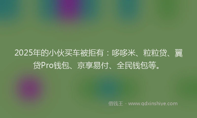 2025年的小伙买车被拒有：哆哆米、粒粒贷、翼贷Pro钱包、京享易付、全民钱包等。