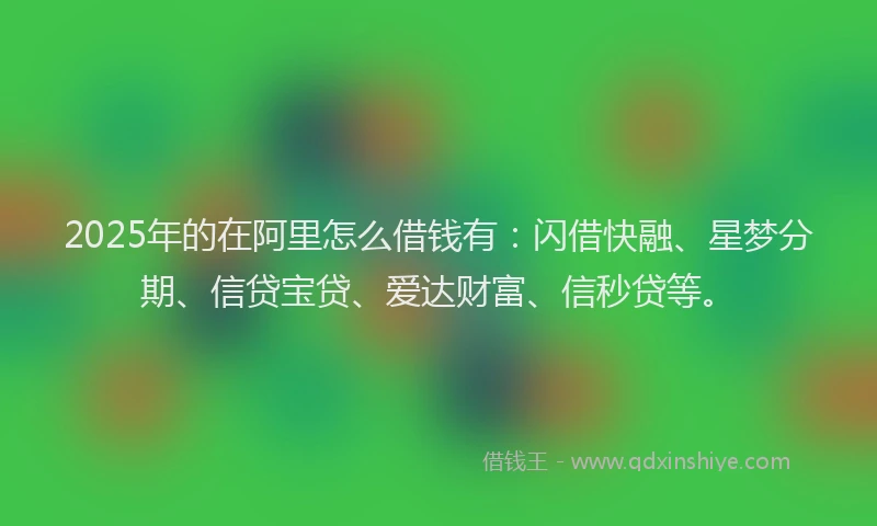 2025年的在阿里怎么借钱有：闪借快融、星梦分期、信贷宝贷、爱达财富、信秒贷等。