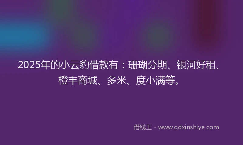 2025年的小云豹借款有：珊瑚分期、银河好租、橙丰商城、多米、度小满等。