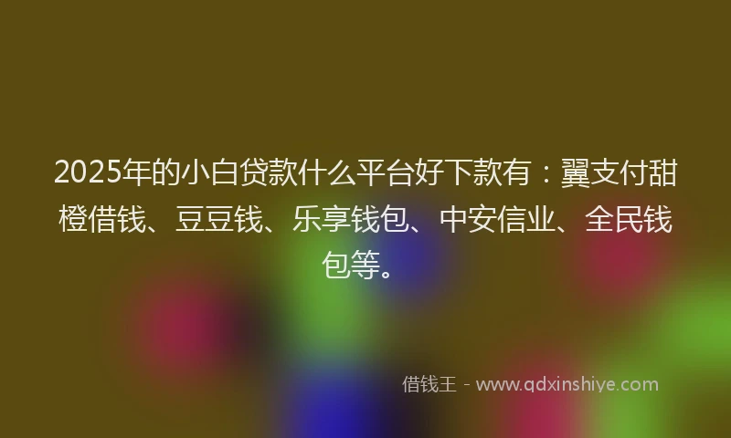2025年的小白贷款什么平台好下款有：翼支付甜橙借钱、豆豆钱、乐享钱包、中安信业、全民钱包等。