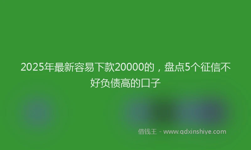 2025年最新容易下款20000的，盘点5个征信不好负债高的口子