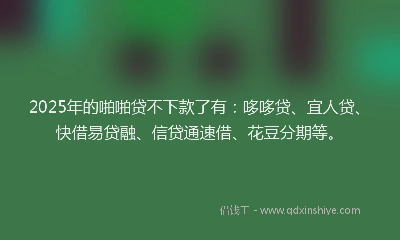 2025年的啪啪贷不下款了有：哆哆贷、宜人贷、快借易贷融、信贷通速借、花豆分期等。