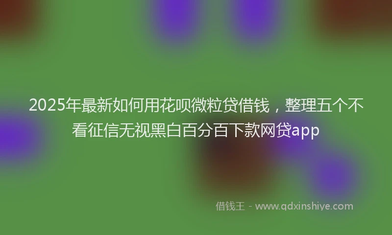 2025年最新如何用花呗微粒贷借钱，整理五个不看征信无视黑白百分百下款网贷app