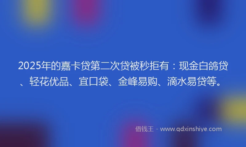 2025年的嘉卡贷第二次贷被秒拒有：现金白鸽贷、轻花优品、宜口袋、金峰易购、滴水易贷等。
