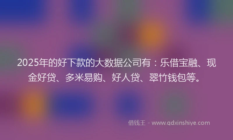 2025年的好下款的大数据公司有：乐借宝融、现金好贷、多米易购、好人贷、翠竹钱包等。