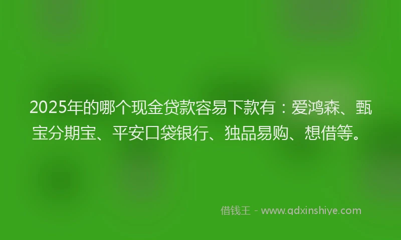 2025年的哪个现金贷款容易下款有：爱鸿森、甄宝分期宝、平安口袋银行、独品易购、想借等。