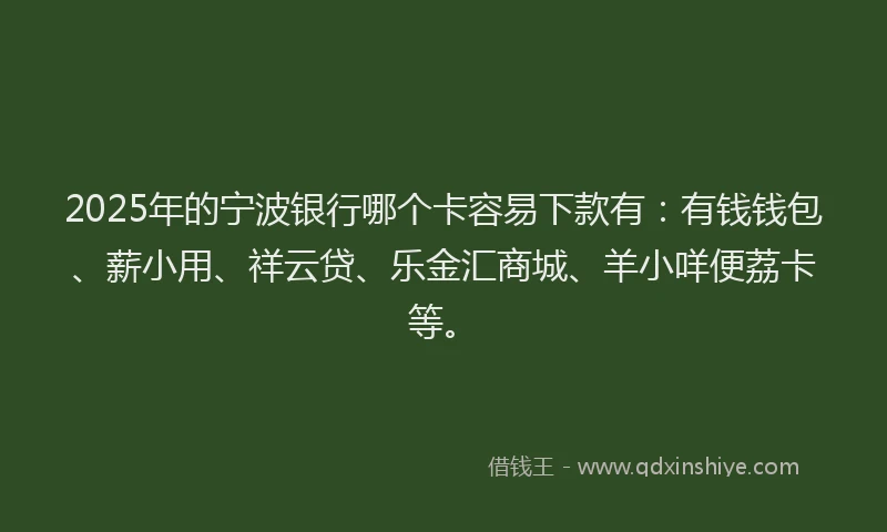 2025年的宁波银行哪个卡容易下款有：有钱钱包、薪小用、祥云贷、乐金汇商城、羊小咩便荔卡等。