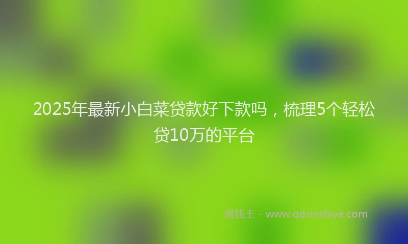 2025年最新小白菜贷款好下款吗，梳理5个轻松贷10万的平台