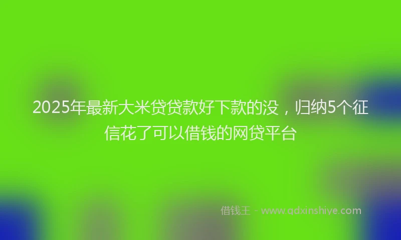 2025年最新大米贷贷款好下款的没，归纳5个征信花了可以借钱的网贷平台
