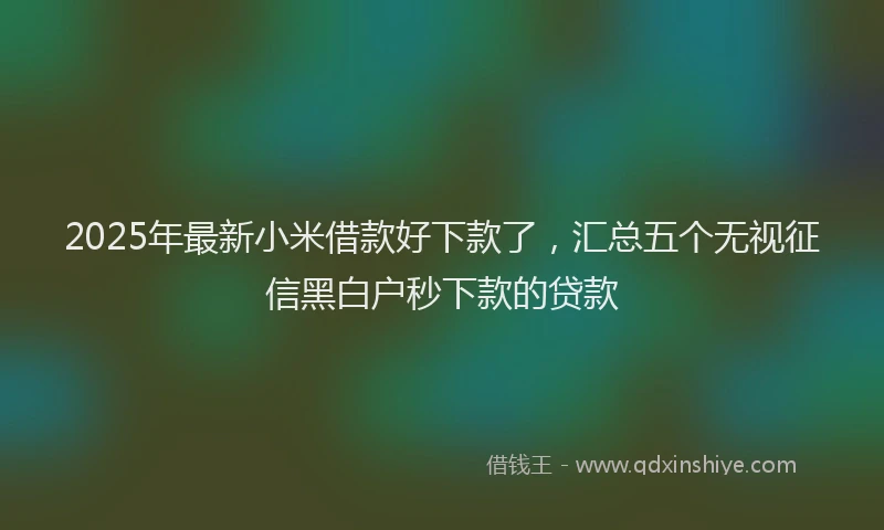 2025年最新小米借款好下款了，汇总五个无视征信黑白户秒下款的贷款