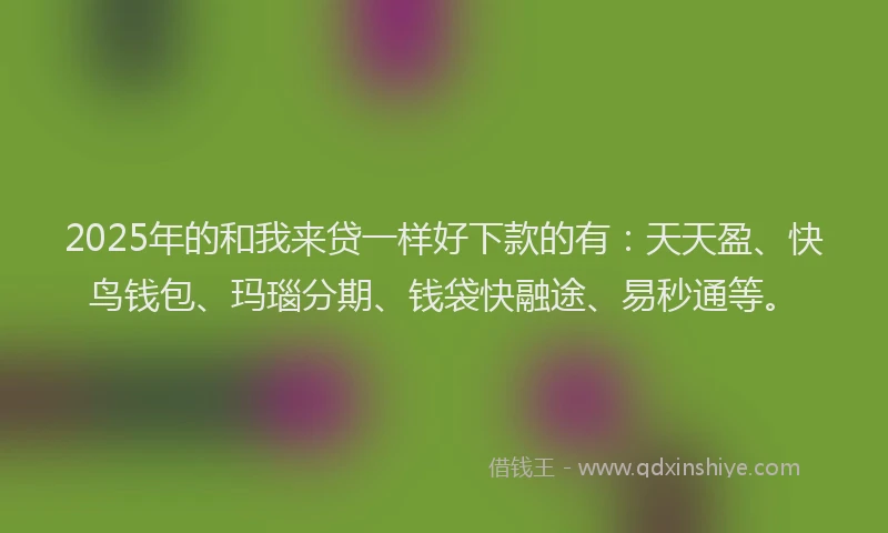 2025年的和我来贷一样好下款的有：天天盈、快鸟钱包、玛瑙分期、钱袋快融途、易秒通等。