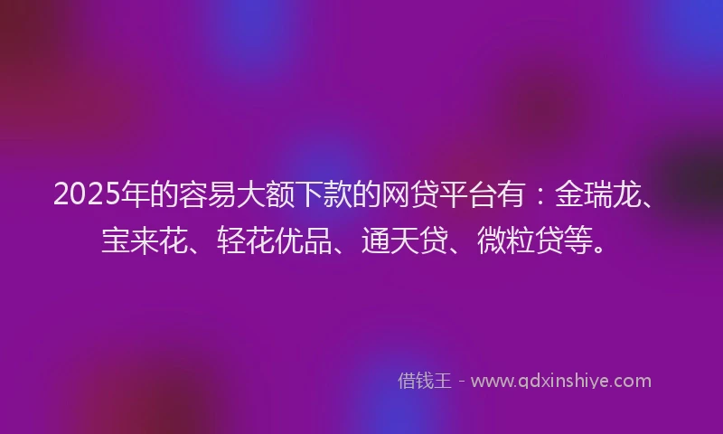 2025年的容易大额下款的网贷平台有：金瑞龙、宝来花、轻花优品、通天贷、微粒贷等。