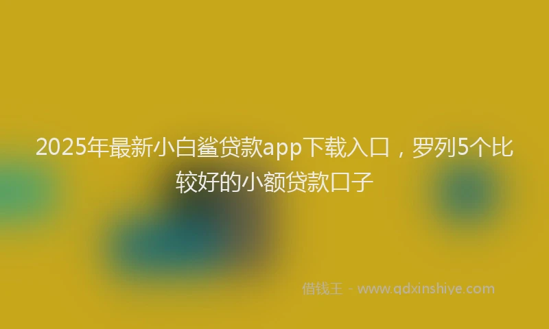 2025年最新小白鲨贷款app下载入口，罗列5个比较好的小额贷款口子