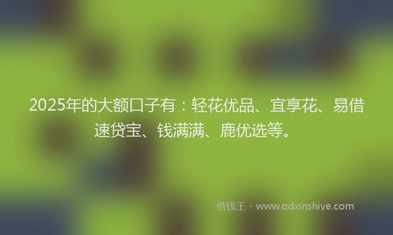 2025年的大额口子有：轻花优品、宜享花、易借速贷宝、钱满满、鹿优选等。